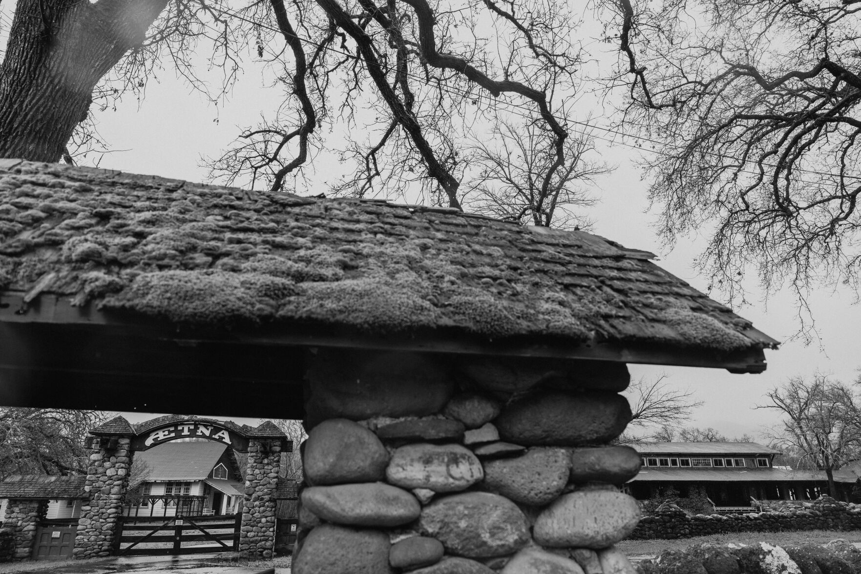 Aetna Springa BW